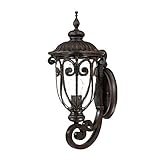 Acclaim 2101MM Naples Collection 1-Light Wall Mount Outdoor Light Fixture, Marbleized Mahogany [並行輸入