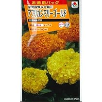 415dmVJnmZL._AC_UL210_SR210,