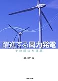 躍進する風力発電―その現状と課題―