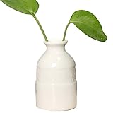 Gespout 花瓶 陶器 白 和風 花器 一輪挿し おしゃれ 水耕栽培用 装飾用品 ドライ花瓶 フローラ 円柱 可愛い 花入 容器 雑貨 人気 観葉植物 卓上置物 小さな口の花瓶