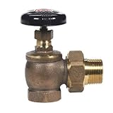 Muellar #109-305 1" Bronze Rad Steam Valve [並行輸入品]