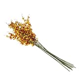 GRALARA人工　バタフライ　オーキッド　レアル　タッチ　花　クリスマス　ルーム　インテリア　７色選ぶ - オレンジ