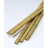 天然竹支柱　白竹 長さ2.4ｍ　40本セット　[生垣・支柱に！] ノーブランド品