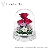 Reine De Fleur レンデフロール バラ・千鳥草・かすみ草 日本製 G-I