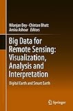 Big Data for Remote Sensing: Visualization, Analysis and Interpretation: Digital Earth and Smart Earth