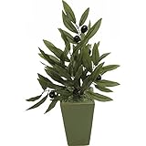 nobrand 光触媒　オリーブ（造花） オブジェ (4346)