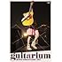 miwa「DVD miwa concert tour 2012 "guitarium"(通常盤)」