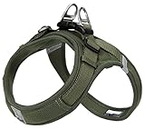 cocomall 喉に優しい犬ハーネス 2023最新 TRUE LOVE日本授権店 犬用ハーネス 犬用胴輪 ドッグ ペット用品 ハーネスリード 3M反射材料 訓練 ナイロン製 超型犬、小型犬、中型犬に向け 通気性 調節可能 夏に対応 (XXS, コケ緑)