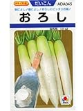 おろし　タキイのダイコン種です