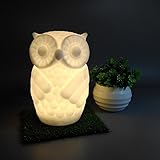 highpotポータブル子供夜ライトのLED夜ランプベビー大人キュートフクロウLED寝室 16.5CM/6.49'' Highpot11