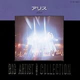 BIG ARTIST BEST COLLECTION �A���X
