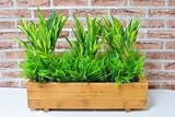 オフィスグリーン【人工観葉植物】【触媒加工】【インテリアグリーン】【造花】【パーテーション】【外でもok】【消臭　防菌　抗ウイルス　防カビ】イミテーション　グリーン