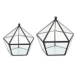 B Blesiya 幾何学的　ガラス　テラリウム　多肉植物　テラリウム　盆栽　ミニチュア　ハウス　コンテナ　2個　