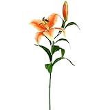 タイガーリリースプレー FXFL0004OR