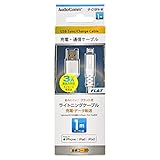 OHM Lｉｇｈｔｎｉｎｇ 1M フラット式 IP-C10FH-W
