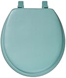 Achim Home Furnishings TOVYSTLG04 17-Inch Fantasia Standard Toilet Seat, Soft Light Green [並行輸入品]