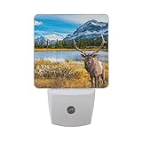 naanle Red Deer Bullエルクムース秋ウッドランドフォレスト水Snow Mountainブルースカイ自動センサーLED Dusk to Dawnナイトライトプラグinインドアfor A
