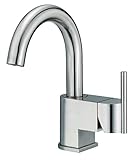 Danze Comoシングルハンドル洗面所蛇口 D222542BN 1