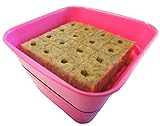 お試しｽﾌﾟﾗｳﾄ栽培ｷｯﾄ ﾌﾟﾛ御用達 苗床付き【ﾋﾟﾝｸ Mｻｲｽﾞ】