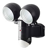 ソーラーセンサーライト(LED1.0W×2) DLS-2T300