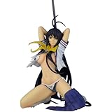 一騎当千GG 関羽雲長 (1/7スケールPVC塗装済み完成品)