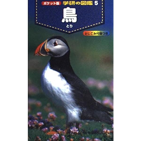 Amazon.co.jp: 鳥 (新ポケット版学研の図鑑) : 小宮輝之: 本
