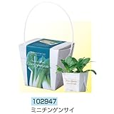 アーテック ベジコンテナ 102947 ミニチンゲンサイ