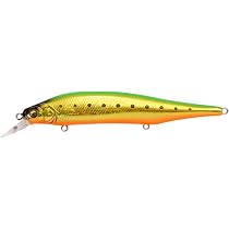 Amazon.co.jp: メガバス(Megabass) X-80 MAGNUM GG ILイワシ