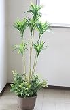 山久 シルクフラワー の ドラセナツリー 140 1304-4933 TKD CT触媒加工 snb 観葉植物 造花