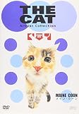 THE CAT �`���C���E�N�[���`