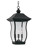 Designers Fountain 2724-BK Autumn Gold Wellton Lantern [並行輸入品]