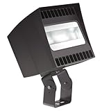 RAB Lighting CANVAS78TN Bronze LED Canvas Trunnion Floodlight, 6828 Luminous Output, 78W, 4000K [並行輸