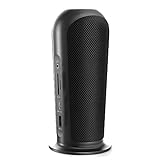 在庫限り 在庫処分 IZELL 12-in-1 ドッキングステーション・ハブ with Hi-Fiスピーカー - 12ポート Type-C (IZELL124)（HDMI×1、VGA×1）