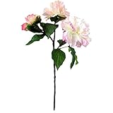 ピオニースプレーX5 FXFM0007PNK