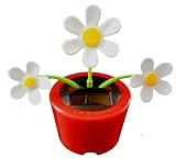Solar Powered Dancing CRAZY DAISY ( Red Pot ) – Inバブルパッケージ