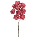 ~Coco Heart~　ソーラーローズ　フランボアーズ　10本セット(大地農園）　（リース・木の実・ドライフラワー）