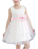 WIN 供服 ガールズフォーマルドレス フラワードレス キッズドレス女児 ウェディングドレス　 レース　ノースリーブ お嬢様 ドレス フォーマル ピアノ発表会 (100cm, ピンク)