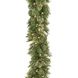 National Tree 9 Foot by 10 Inch Wispy Willow Garland with 50 Clear Lights (WO1-9ALO-1) by National T