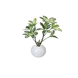 グリーン／観葉植物 光触媒 造花 シェフレラポット グリーン 人工植物 消臭 抗菌 防菌 ホルムアルデヒド 植物 人工 タバコ アートフラワー オフィス プレゼント ギフト