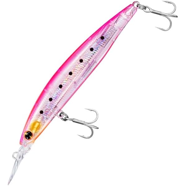 セットアッパー他　ケース付き Amazon.co.jp: ダイワ(DAIWA) ショアラインシャイナーZ セット