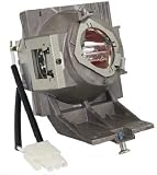 Rich Lighting ランプ ベンキュー HT2550 LHT-2550 プロジェクター 交換用 ランプ