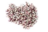 虹色の宝石とうもろこし種子 グラスジェムコーン50粒 (レッド) Glass Gem Corn seeds (red)