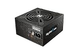 FSP 80 PLUS GOLD 認証 フルモジュラー ATX電源 850W [ HG2-850 ]