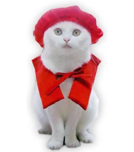 Amazon | ネコのお洋服屋さん キャットプリン 猫服 キャットプリン