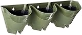 (Olive Green) Worth Garden 3-Pack Self-Watering ワスガデンパックオブグリン [並行輸入品]