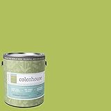 Inspired Eggshell Interior Paint, Thrive .03, Gallon [並行輸入品]