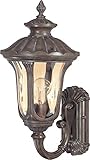 Nuvo Lighting 60/2005 One Light Wall Lantern [並行輸入品]