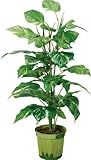 ポピー 観葉植物の造花 ポトスポット 80cm