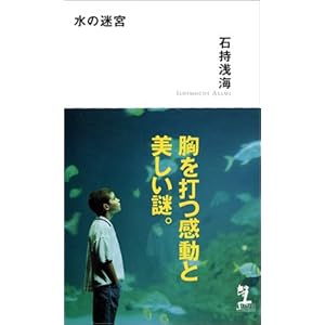 水の迷宮 (カッパノベルス) 水の迷宮 (カッパノベルス)