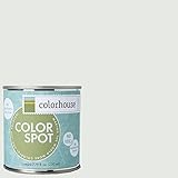 Inspired Eggshell Interior Colorspot Paint Sample, Imagine .05, 8-oz [並行輸入品]